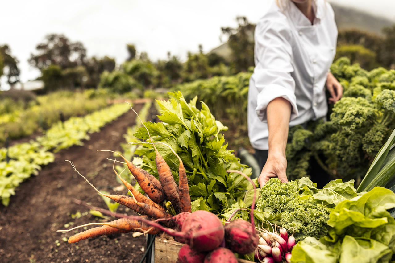 Agriculture, Food & Beverages
