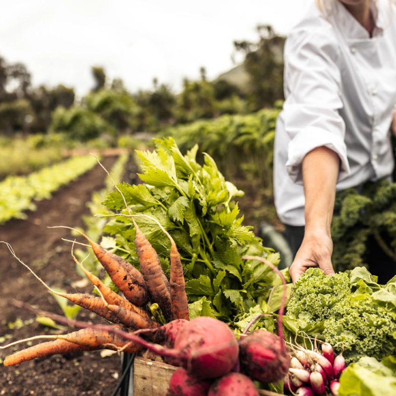 Agriculture, Food & Beverages